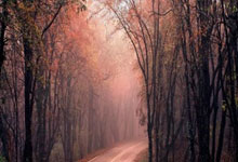 非洲世预赛小组形势：尼日利亚出线告急！科摩罗将创历史？.